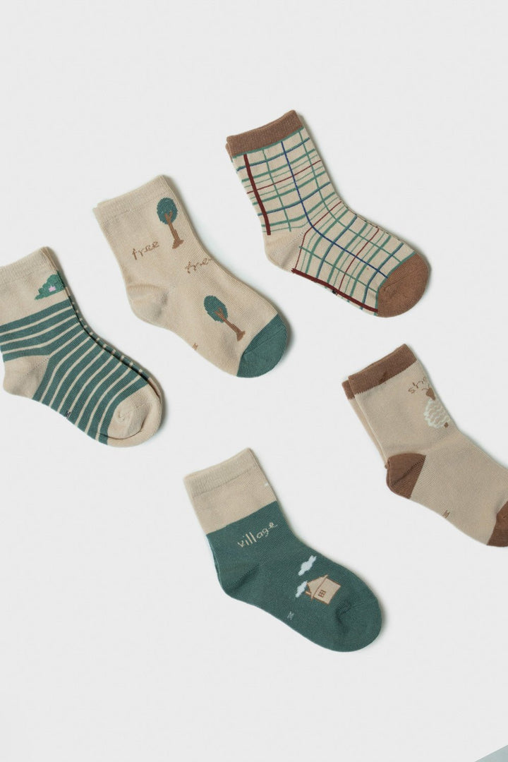 Sapphire- Socks - Pack of 5