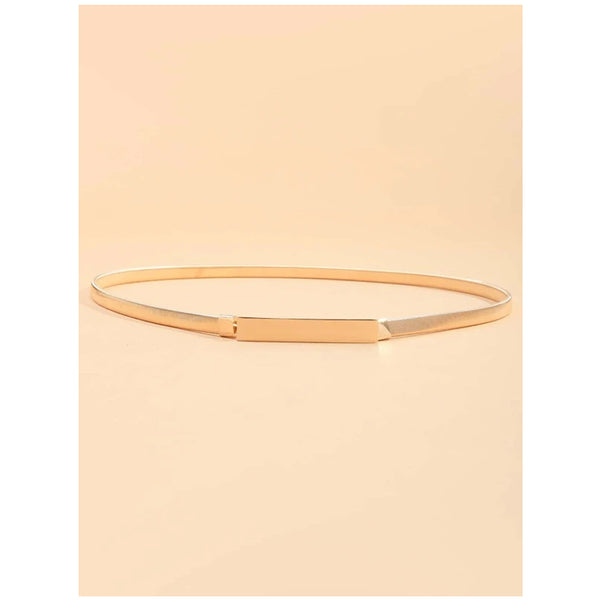 Shein- Simple Metal Belt