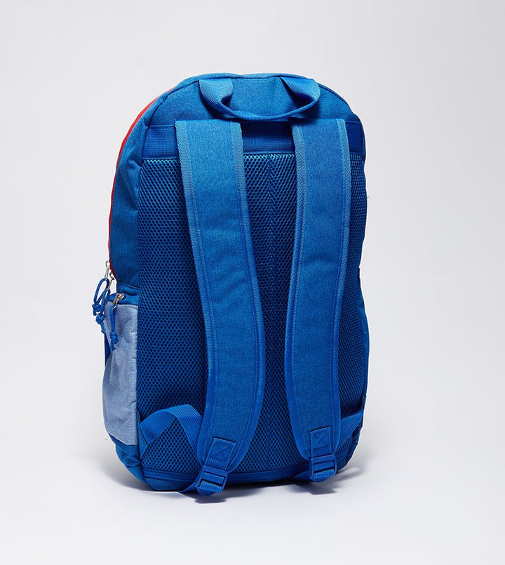 Aeropostale- Large Size Color Coordinated Backpack