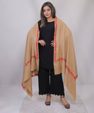 Bagallery Exclusive Pure Synthetic Wool Shawl Embroidered Boarder Multi